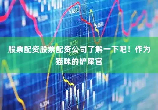 股票配资股票配资公司了解一下吧！作为猫咪的铲屎官
