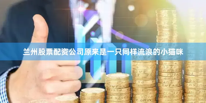 兰州股票配资公司原来是一只同样流浪的小猫咪