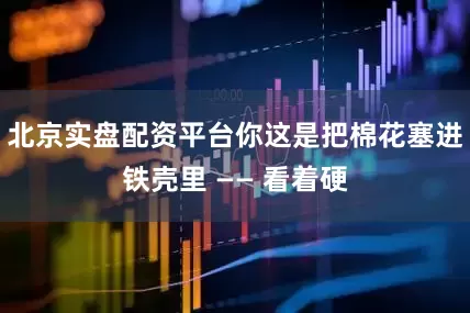 北京实盘配资平台你这是把棉花塞进铁壳里 —— 看着硬
