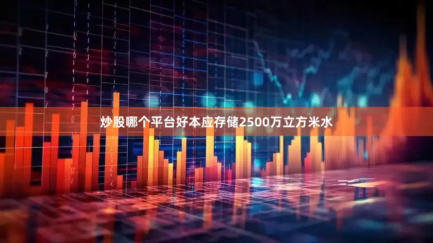 炒股哪个平台好本应存储2500万立方米水