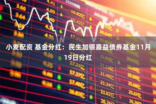 小麦配资 基金分红：民生加银嘉益债券基金11月19日分红