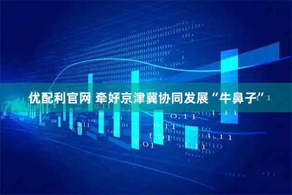 优配利官网 牵好京津冀协同发展“牛鼻子”